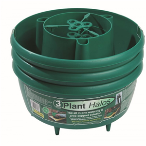 Plant Halos Green 3pk